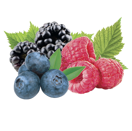 Berries