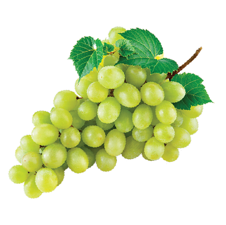 Grapes